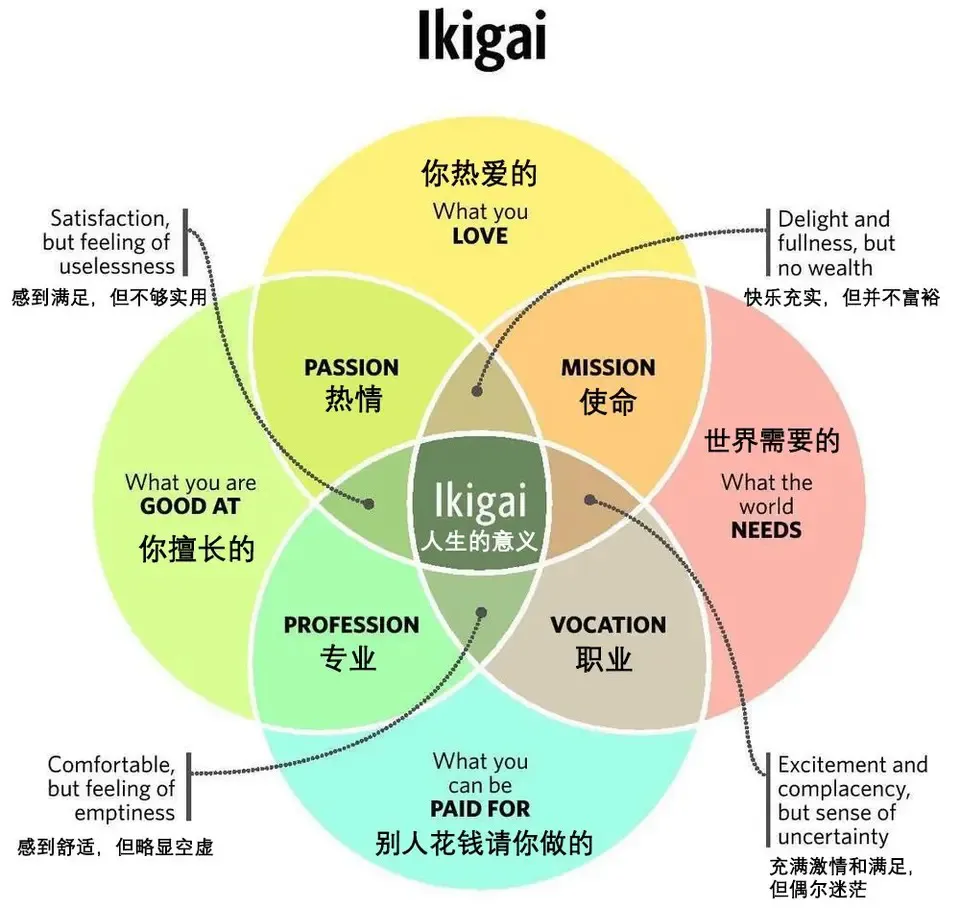 ikigai-from-km