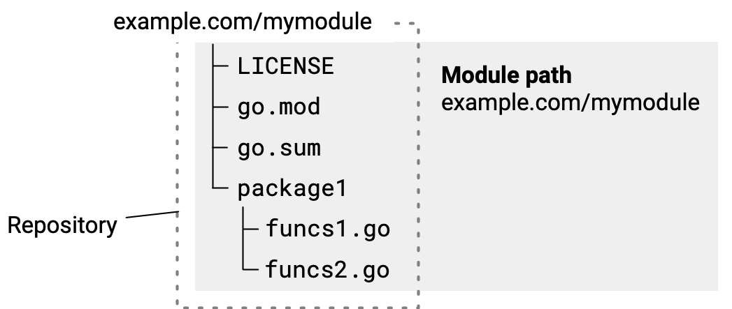 single-module